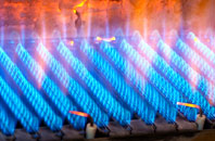 Gerlan gas fired boilers
